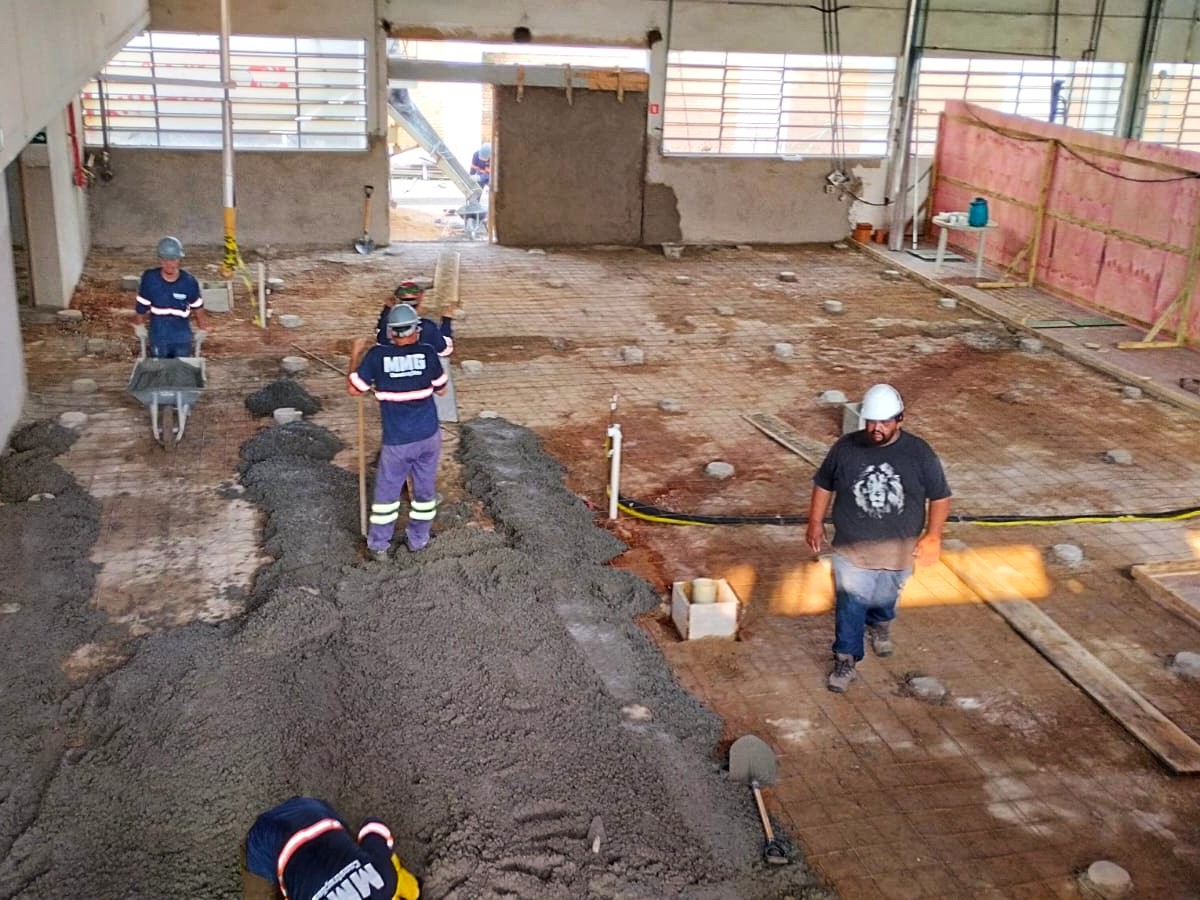 WhatsApp Image 2025-01-03 at 16.57.05.jpeg