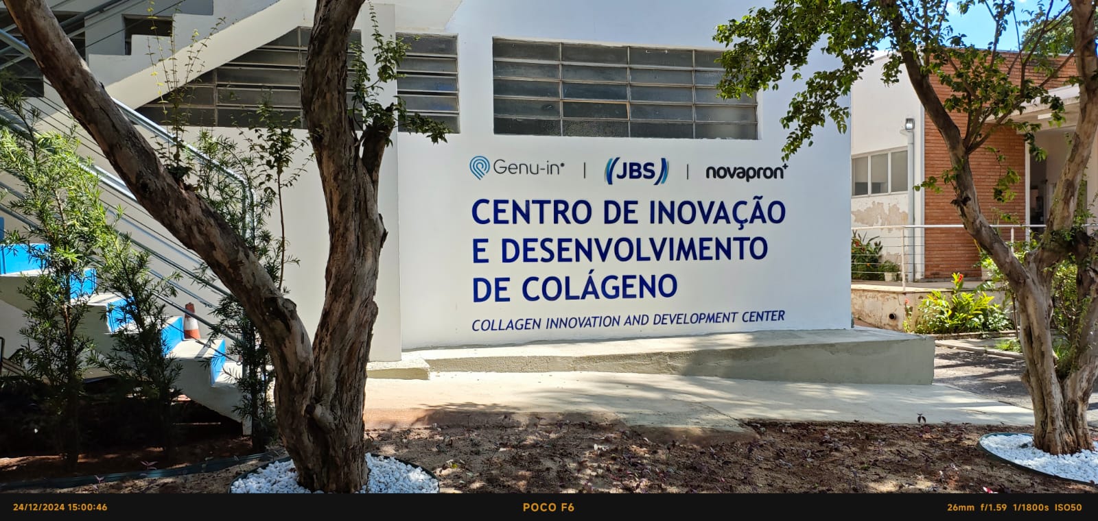 WhatsApp Image 2025-01-03 at 16.18.03.jpeg