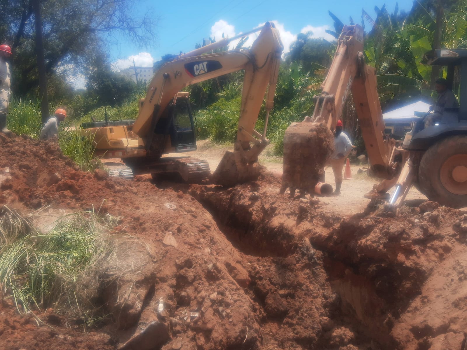 WhatsApp Image 2025-01-03 at 15.21.28 (4).jpeg